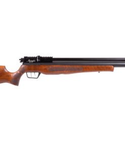 Benjamin Marauder Semi-Automatic Air Rifle .22